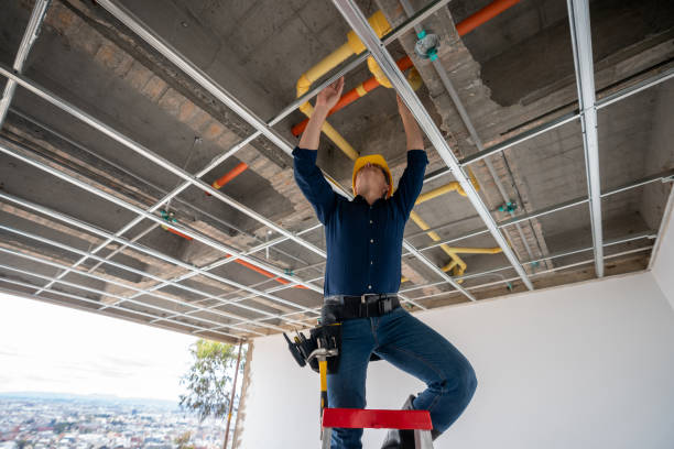 Best Affordable Plumbing Services  in Shaw, MS
